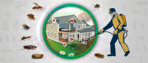 types of harmful pests