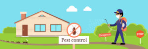How to get rid of pesty pest