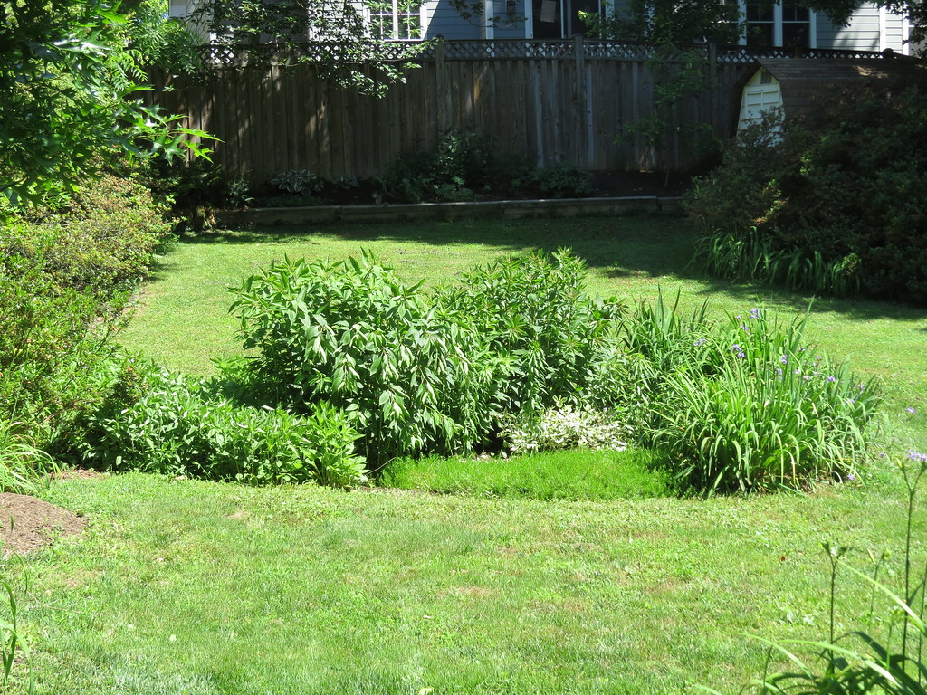 How To Build A Rain Garden – A Complete Step By Step Guide To Make Own Rain Garden At Home