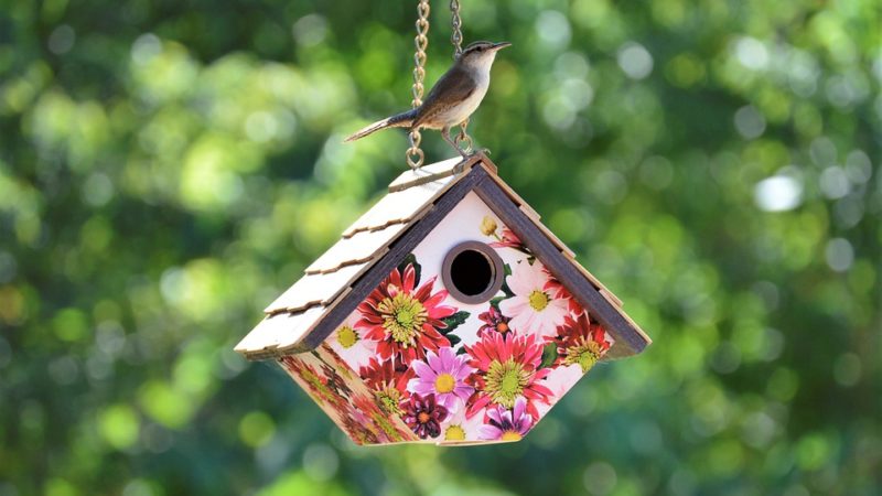 How to Hang a Birdhouse