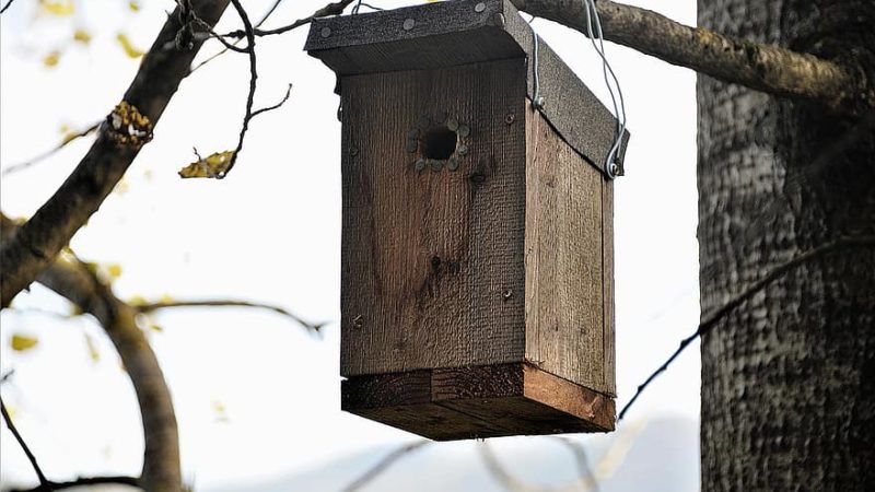 Bird Roosting Box-A Cozy Winter Shelter For Birds