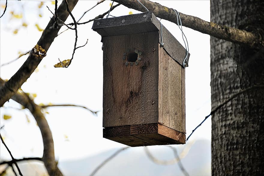 Bird Roosting Box-A Cozy Winter Shelter For Birds