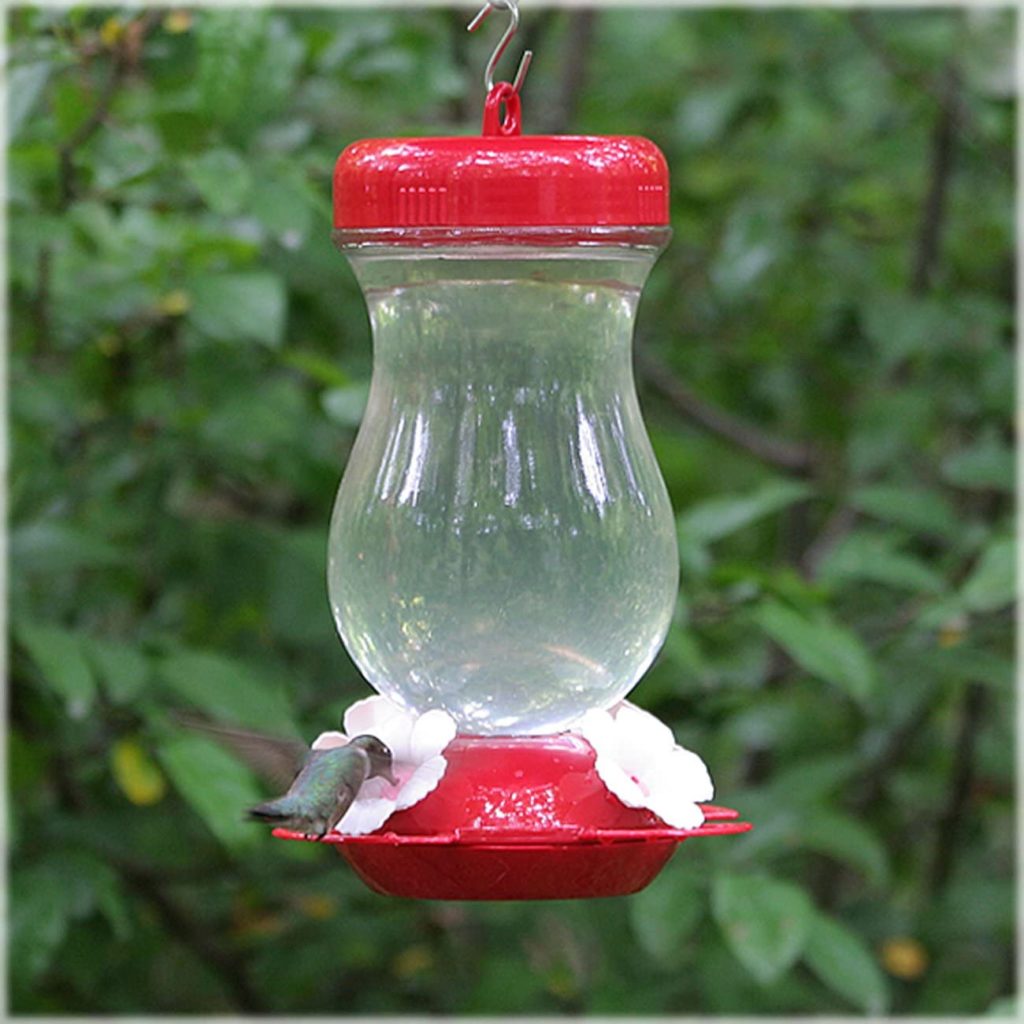 fill glass hummingbird feeder