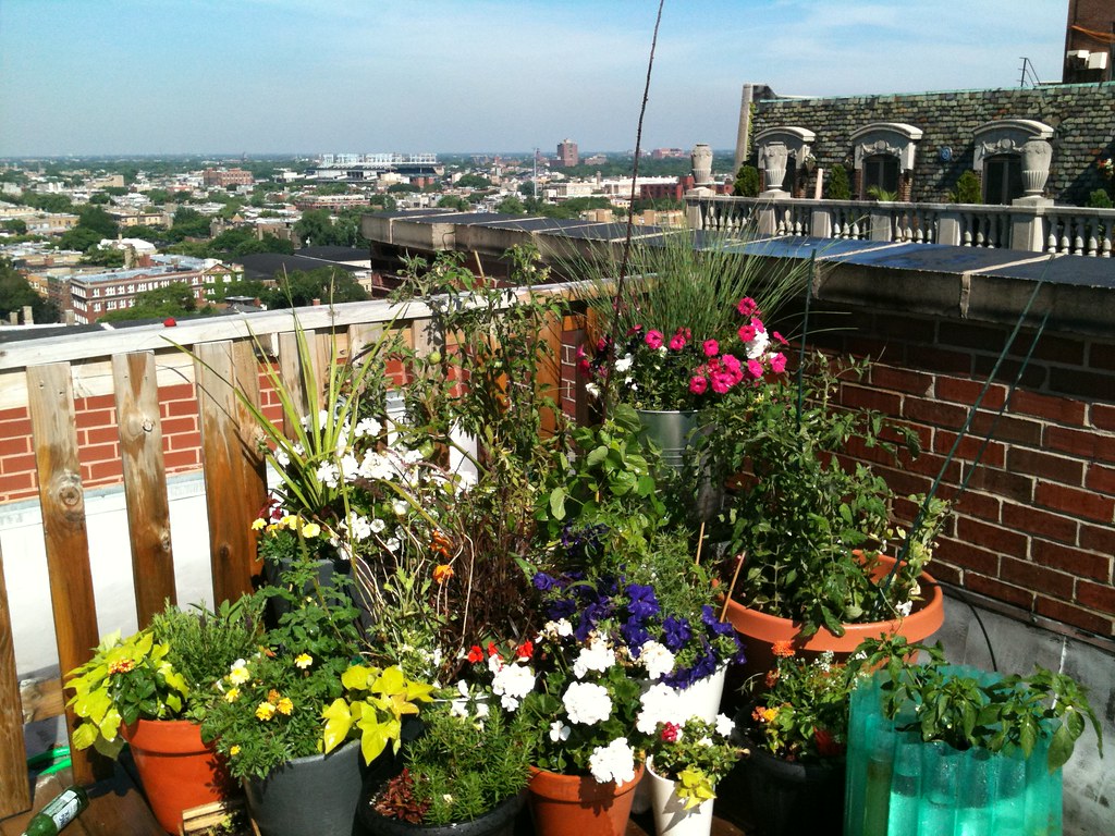 container gardening a type of rooftop garden concept