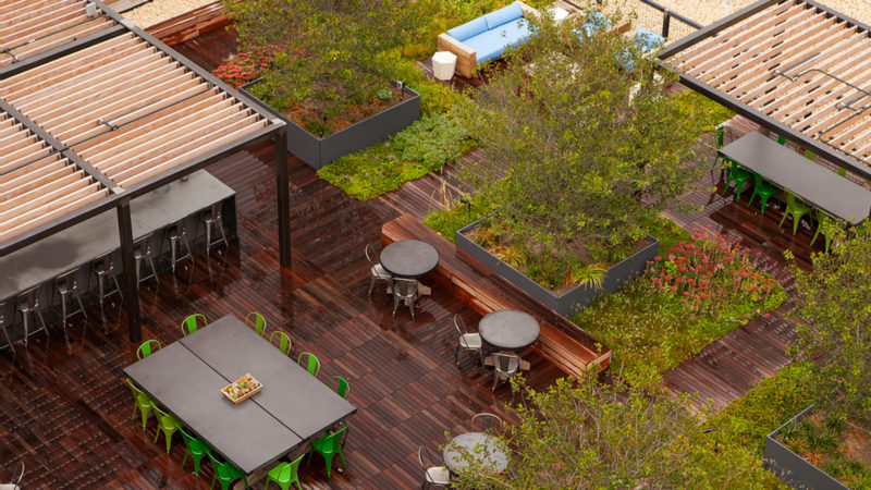 The Complete Guide To Create A Rooftop Garden
