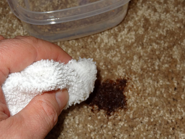 How to Remove Odor from Carpet: Homemade Methods of Cleaning
