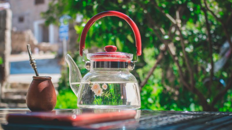 Grow Organic Herbal Tea Garden At Home
