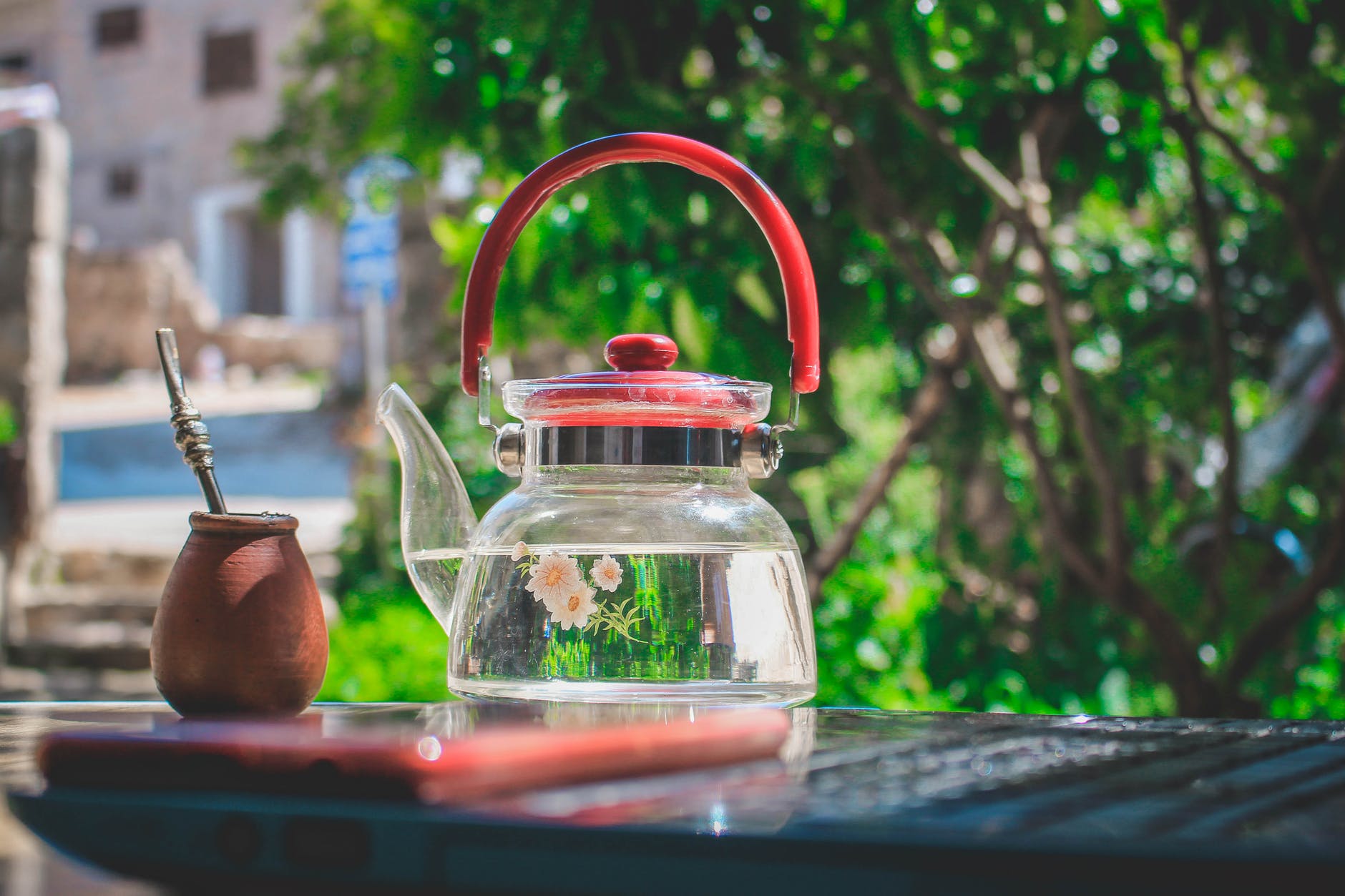 Grow Organic Herbal Tea Garden At Home