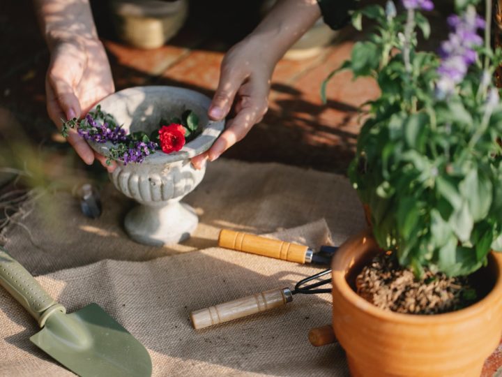 Essential Tools Used For Gardening