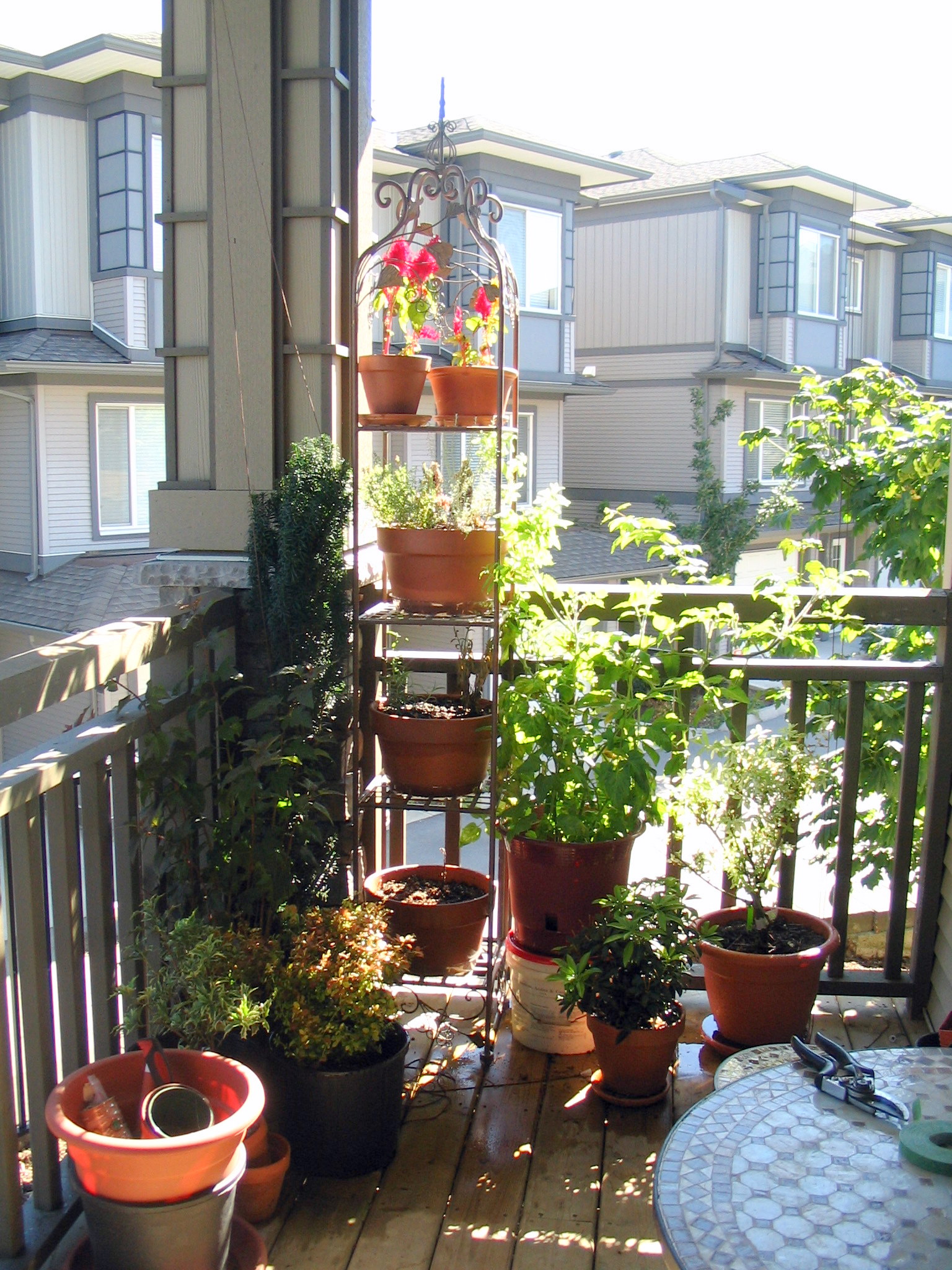 Blooming Balcony Garden, How To Create A Small Balcony Garden